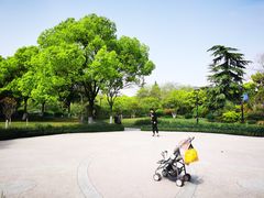 -大关公园