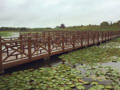 iphone_upload_pic-上海海湾国家森林公园