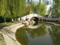 android_upload_pic-丰台科技园生态主题公园