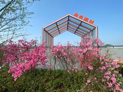 -十九峰景区-倒脱靴