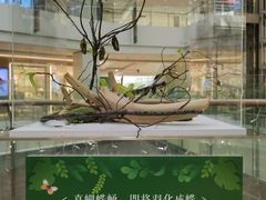 -LuOne凯德晶萃广场(徐家汇路店)
