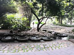 -成都市活水公园
