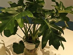 -山与蓝·轻糖鲜果蛋糕(勒泰店)