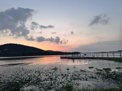 -长广溪湿地公园