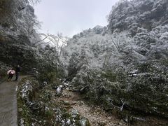 -青城山