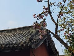 -洛阳白马寺