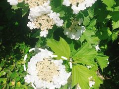 -中关村生命科学园