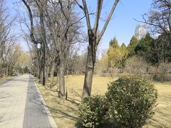 -迎泽公园