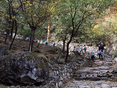 -北京鹫峰国家森林公园