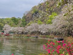 -星湖旅游景区七星岩