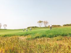 -滨海湖高尔夫球会