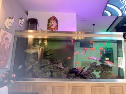 -雕哥的纹身店A3 TATTOO&纹身培训
