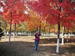 -长春世界雕塑园冰雪艺术天地