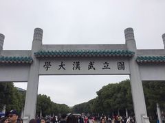 -武汉大学-樱园