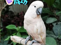 -南宫五洲植物乐园