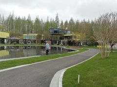 -黄海国家森林公园