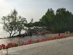 -宝安西湾红树林湿地公园