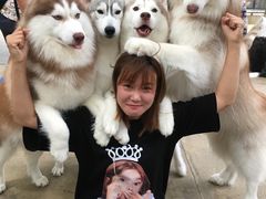 -TrueLove @ Neverland (Husky Cafe)