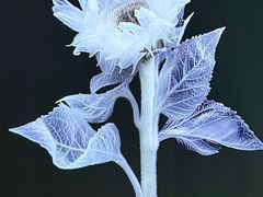 -时代美术馆-成都馆