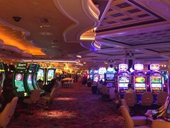 -拉斯维加斯永利酒店