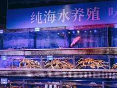 -青蓬蒸汽海鲜·深圳老字号·团建聚会(壹方城店)