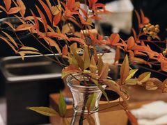 -red donkey coffee