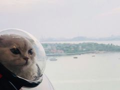-必胜客(海滨店)