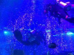 -沈阳海洋探索中心