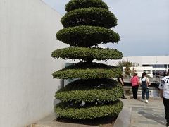 -石家庄市植物园