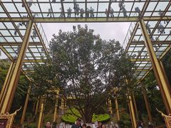 -西双版纳勐泐文化旅游区