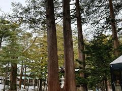-北海道神宫