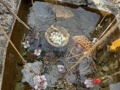 -天芳悦潭度假村温泉