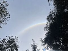 -寂照庵