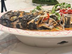 -南山酒肆(南山董事绘店)