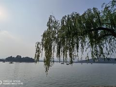 -皇家御河游(紫御湾码头)