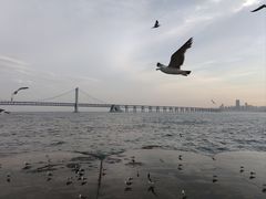 -星海广场