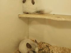 -龙猫仔乐园(惠福东路店)