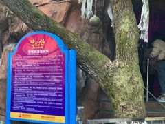 -横店影视城梦幻谷园区