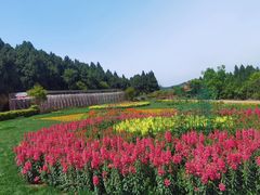 -中国香山·寿香谷