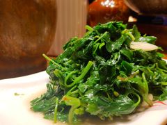 素炒灰挑菜-老滇山寨•云南特色菜•地方菜•民族风情歌舞表演(金碧店)