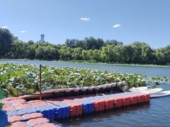 -WhaleSports户外水上运动俱乐部(朝阳公园店)