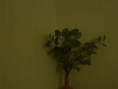-禧瑞 ·丝浴主题·水疗·spa(中山公园店)