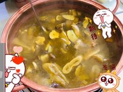 -野生菌火锅(菌王村店)