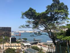 -讯号山花园