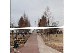 -滆湖低碳生态公园