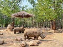 -北京野生动物园