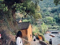 -杨家堂村