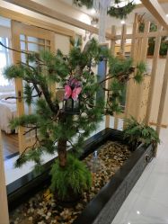 -芳朵美容养生SPA