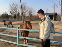 -太阳部落