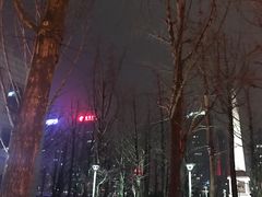 -百林公园-两江幸福广场